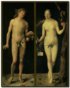Schilderij Dürer, Adam & Eve 1507